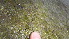 ( - GWS043148)  @11 [ ] Unspecified (default): All Rights Reserved  Unspecified Unspecified