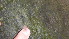  ( - GWS043153)  @11 [ ] Unspecified (default): All Rights Reserved  Unspecified Unspecified