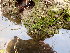  ( - GWS044480)  @11 [ ] Unspecified (default): All Rights Reserved  Unspecified Unspecified