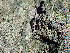  ( - GWS044492)  @11 [ ] Unspecified (default): All Rights Reserved  Unspecified Unspecified