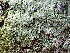  ( - GWS044495)  @11 [ ] Unspecified (default): All Rights Reserved  Unspecified Unspecified