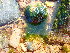  ( - GWS044497)  @11 [ ] Unspecified (default): All Rights Reserved  Unspecified Unspecified