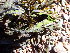  ( - GWS044499)  @11 [ ] Unspecified (default): All Rights Reserved  Unspecified Unspecified