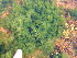  ( - GWS045868)  @11 [ ] Unspecified (default): All Rights Reserved  Unspecified Unspecified