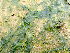  ( - GWS045943)  @11 [ ] Unspecified (default): All Rights Reserved  Unspecified Unspecified