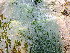  ( - GWS045944)  @11 [ ] Unspecified (default): All Rights Reserved  Unspecified Unspecified