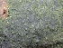  ( - GWS047022)  @11 [ ] Unspecified (default): All Rights Reserved  Unspecified Unspecified