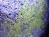  ( - GWS047102)  @11 [ ] Unspecified (default): All Rights Reserved  Unspecified Unspecified