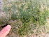  ( - GWS047125)  @11 [ ] Unspecified (default): All Rights Reserved  Unspecified Unspecified