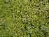  ( - GWS047136)  @11 [ ] Unspecified (default): All Rights Reserved  Unspecified Unspecified