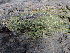  ( - GWS047143)  @11 [ ] Unspecified (default): All Rights Reserved  Unspecified Unspecified