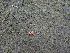  ( - GWS047166)  @11 [ ] Unspecified (default): All Rights Reserved  Unspecified Unspecified