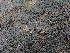  ( - GWS047221)  @11 [ ] Unspecified (default): All Rights Reserved  Unspecified Unspecified