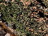  ( - GWS047233)  @11 [ ] Unspecified (default): All Rights Reserved  Unspecified Unspecified