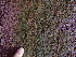  ( - GWS047261)  @11 [ ] Unspecified (default): All Rights Reserved  Unspecified Unspecified