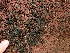  ( - GWS047262)  @11 [ ] Unspecified (default): All Rights Reserved  Unspecified Unspecified