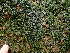  ( - GWS047268)  @11 [ ] Unspecified (default): All Rights Reserved  Unspecified Unspecified