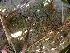  ( - GWS047437)  @11 [ ] Unspecified (default): All Rights Reserved  Unspecified Unspecified
