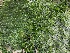  ( - GWS047466)  @11 [ ] Unspecified (default): All Rights Reserved  Unspecified Unspecified