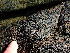  ( - GWS047503)  @11 [ ] Unspecified (default): All Rights Reserved  Unspecified Unspecified