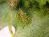  ( - GWS047507)  @11 [ ] Unspecified (default): All Rights Reserved  Unspecified Unspecified