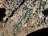  ( - GWS047818)  @11 [ ] Unspecified (default): All Rights Reserved  Unspecified Unspecified