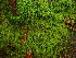 ( - GWS048324)  @11 [ ] Unspecified (default): All Rights Reserved  Unspecified Unspecified