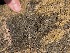  ( - GWS048929)  @11 [ ] Unspecified (default): All Rights Reserved  Unspecified Unspecified