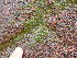  ( - GWS049104)  @11 [ ] Unspecified (default): All Rights Reserved  Unspecified Unspecified