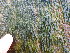  ( - GWS049131)  @11 [ ] Unspecified (default): All Rights Reserved  Unspecified Unspecified