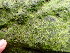  ( - GWS049165)  @11 [ ] Unspecified (default): All Rights Reserved  Unspecified Unspecified