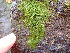  ( - GWS049167)  @11 [ ] Unspecified (default): All Rights Reserved  Unspecified Unspecified
