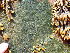  ( - GWS049195)  @11 [ ] Unspecified (default): All Rights Reserved  Unspecified Unspecified