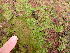  ( - GWS049200)  @11 [ ] Unspecified (default): All Rights Reserved  Unspecified Unspecified