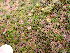 ( - GWS049201)  @11 [ ] Unspecified (default): All Rights Reserved  Unspecified Unspecified