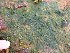 ( - GWS049203)  @11 [ ] Unspecified (default): All Rights Reserved  Unspecified Unspecified