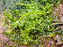  ( - GWS049205)  @11 [ ] Unspecified (default): All Rights Reserved  Unspecified Unspecified