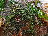  ( - GWS049275)  @11 [ ] Unspecified (default): All Rights Reserved  Unspecified Unspecified