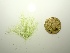  ( - GWS049968)  @11 [ ] Unspecified (default): All Rights Reserved  Unspecified Unspecified