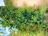  ( - GWSX047079)  @11 [ ] Unspecified (default): All Rights Reserved  Unspecified Unspecified