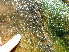  ( - GWSX047099)  @11 [ ] Unspecified (default): All Rights Reserved  Unspecified Unspecified