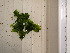  ( - 0722_KVP006)  @11 [ ] Copyright (c) (2024) Unspecified Ghent University