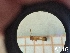  ( - UM-AACC-0091)  @11 [ ] by-nc-sa (2021) Thibaud Decaëns Universite Montpellier, CEFE Lab