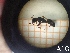  ( - UM-AACC-0065)  @11 [ ] by-nc-sa (2021) Thibaud Decaëns Universite Montpellier, CEFE Lab