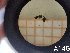  ( - UM-AACC-0154)  @11 [ ] by-nc-sa (2021) Thibaud Decaëns Universite Montpellier, CEFE Lab