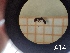  ( - UM-AACC-0155)  @11 [ ] by-nc-sa (2021) Thibaud Decaëns Universite Montpellier, CEFE Lab