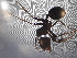  ( - UM-AACC-0196)  @11 [ ] by-nc-sa (2022) Thibaud Decaëns Universite Montpellier, CEFE Lab