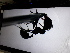  ( - UM-AACC-0227)  @11 [ ] by-nc-sa (2022) Thibaud Decaëns Universite Montpellier, CEFE Lab