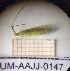  ( - UM-AAJJ-0147)  @11 [ ] by-nc-sa (2021) Thibaud Decaëns Universite Montpellier, CEFE Lab