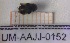  ( - UM-AAJJ-0152)  @11 [ ] by-nc-sa (2021) Thibaud Decaëns Universite Montpellier, CEFE Lab